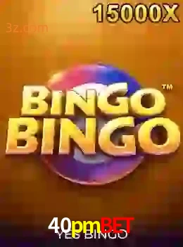 bingobingo